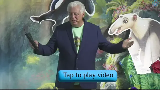 Video Image